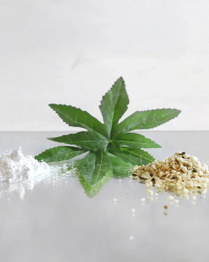 CANNABOOST 30ml - Regeneratives Serum mit Hanföl + CBD