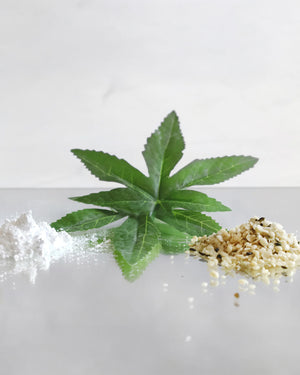 CANNABOOST 20ml - Zellaktivierend mit Hanföl + CBD