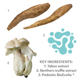 MEDER 4RA RED APAX-Concentré 30ml