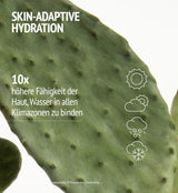 HYDRAMEMORY RICH SORBET CREAM 50ML