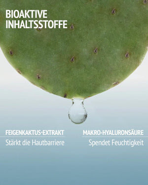 Hydramemory Rich Sorbet Cream 50ml - Reichhaltige intensiv feuchtigkeitsspendende Creme