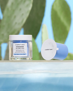 Hydramemory Rich Sorbet Cream Refill 50 ml